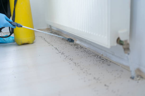 Best Affordable Pest Control Services  in Mckinley, PA