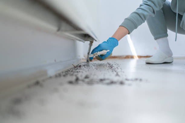 Best Rat Extermination Near Me  in Mckinley, PA