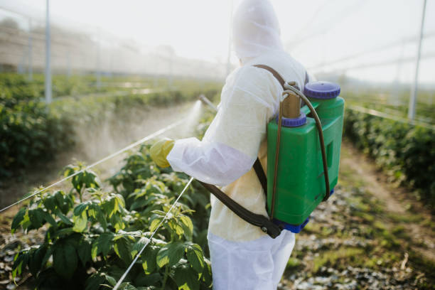 Best Flea Control Services  in Mckinley, PA